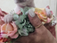 Immagine 6