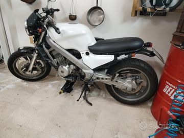 HONDA REVERE