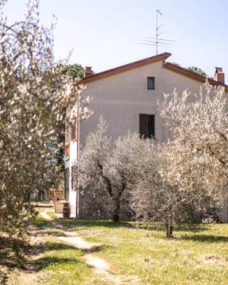 Villa di 559 m² con più di 5 locali e box auto a C