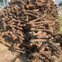 Legna da ardere di vite