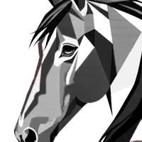 Disegni -  Stampe  A4