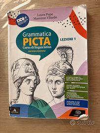 Grammatica picta+libro di riepilogo di grammatica
