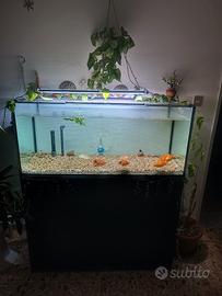 Acquario semi nuovo 