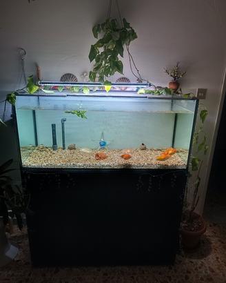 Acquario semi nuovo 