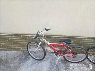  2 bici per ragazzo varie misure