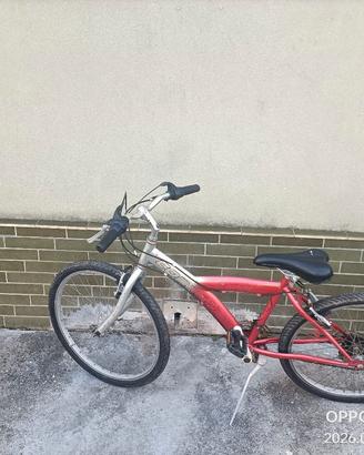  2 bici per ragazzo varie misure