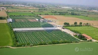 Immobile di 700 m² con più di 5 locali a Treviglio