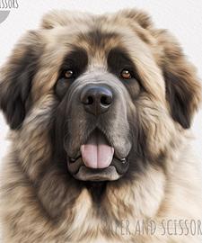 Cuccioli di pastore del Caucaso