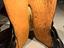 Immagine 6