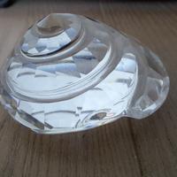 Conchiglia a spirale cristallo Swarovski.