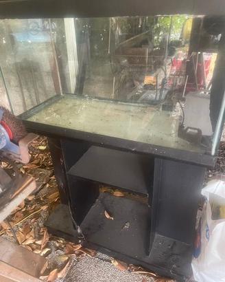 acquario con molti accesori