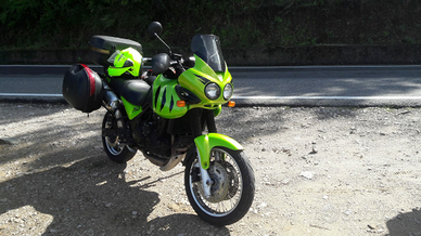 Triumph Tiger 955i