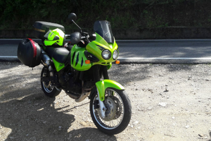 Triumph Tiger 955i