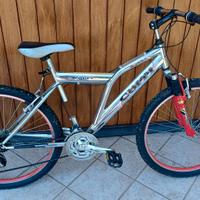 bicicletta mountain bike