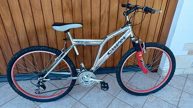 bicicletta mountain bike