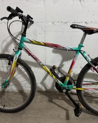Bicicletta mountain bike 24 pollici