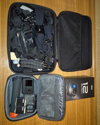 Gropro Hero 12