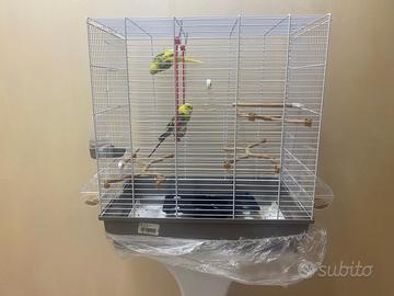 2 cocoriti con gabbia e piedistallo