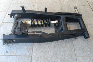 forcellone posteriore co ammortizzatore Yamaha fz6