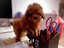 Immagine 9