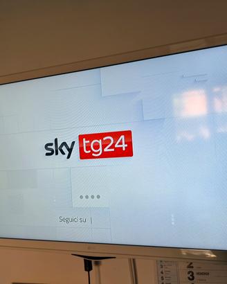 Tv Monitor LG 28” Full HD con telecomando - €60