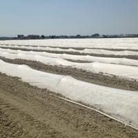 AGROVEL TNT 23gr 1,8x1000mt