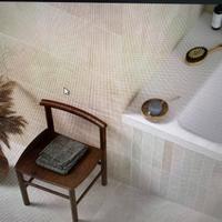 Rivestimento bagno 25*60