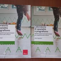 Laboratorio di spazialità e pregrafismo. Attività