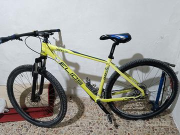 Mountain bike misura 29