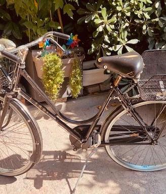 BICICLETTA LERI COLORE NERO DA TURISMO