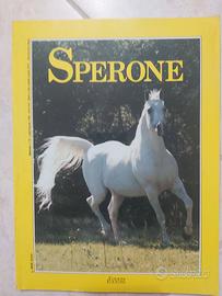 Rivista Sperone cavallo