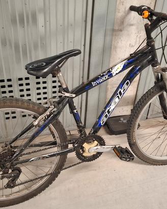 Bicicletta mtb ammortizzata 24"