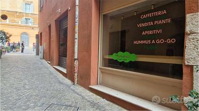V004154 - ANCONA NEGOZIO CON CANNA FUMARIA
