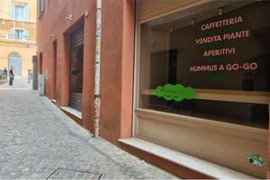 V004154 - ANCONA NEGOZIO CON CANNA FUMARIA
