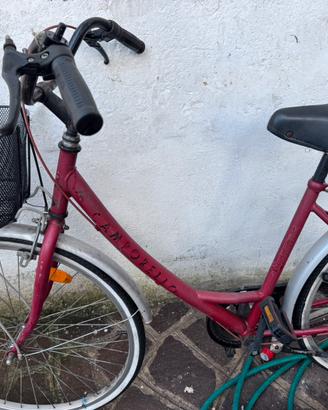 Bici donna