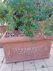 vaso terra cotta inpruneta