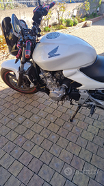 Honda Hornet 600 - Anno 2003