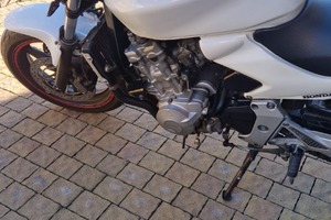 Honda Hornet 600 - Anno 2003