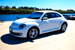 Maggiolino 1.6 Tdi perfetta Permuto