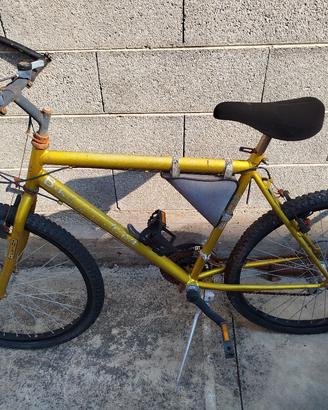 bicicletta 