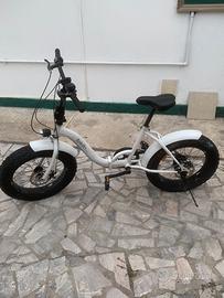 Bicicletta