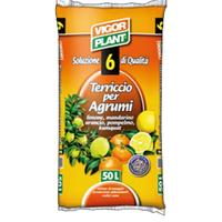 Terriccio per agrumi