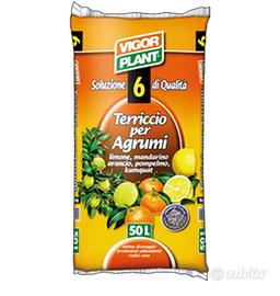 Terriccio per agrumi