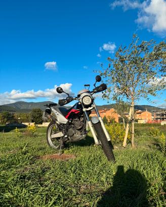 Moto Beta Alp 200