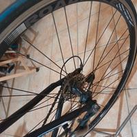 Bici da corsa Torpado Destriero 