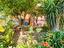 Immagine 16