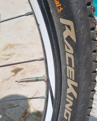 MTB FOCUS 