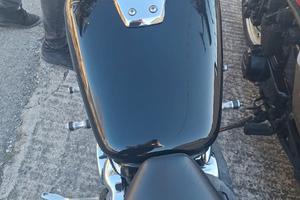 Honda VT 750 Personalizzata