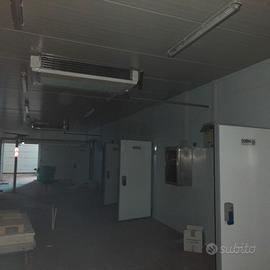 Impianto completo di salumeria