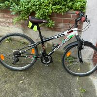 Mountain bike  Bottecchia Boss - 24